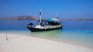 ONE DAY TOURS KOMODO ISLAND