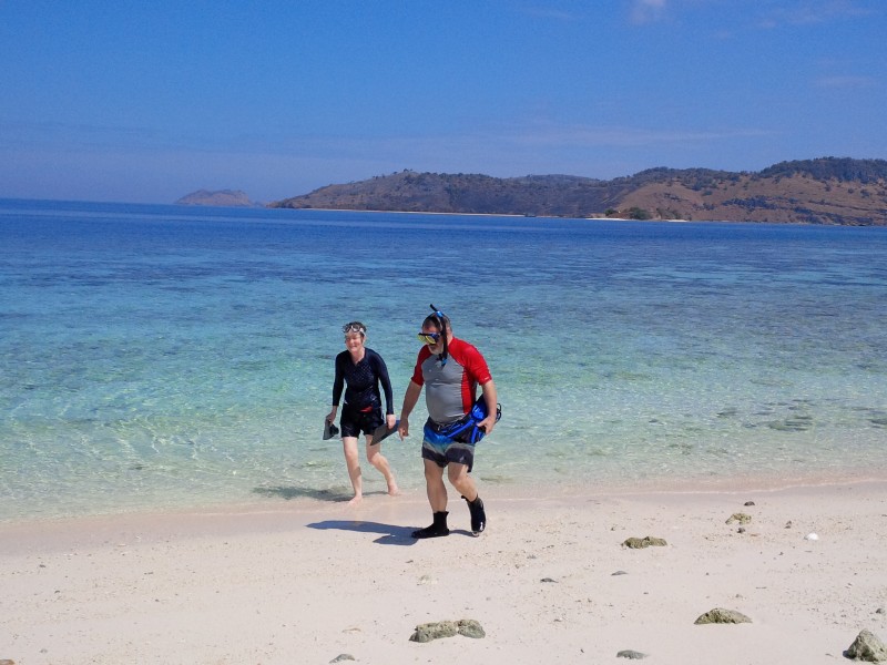 open trip komodo, open tour komodo island, labuan bajo, komodo island tour, komodo island open trip, komodo open trip, komodo open tour