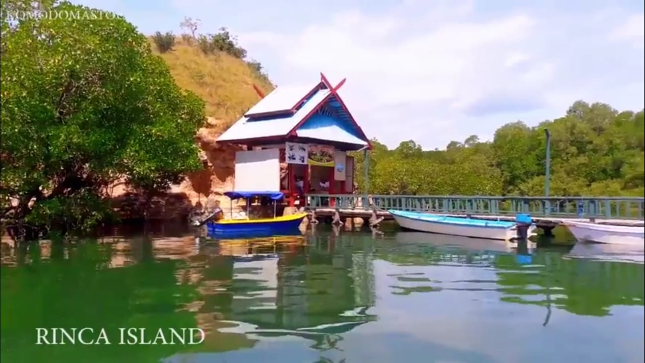 rinca island tour, rinca tour